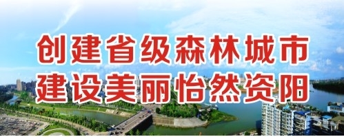 想要嘛操死我好大再进去一点视频在线观看创建省级森林城市 建设美丽怡然资阳